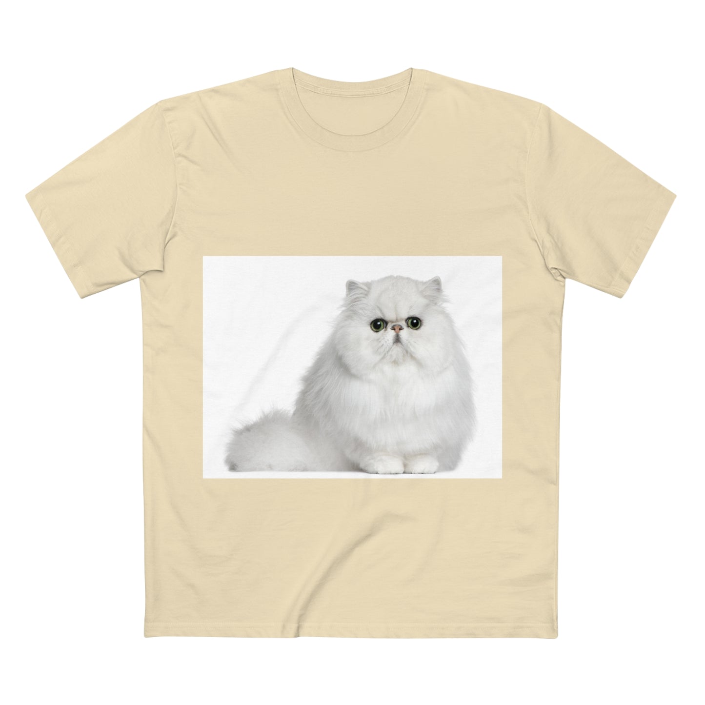 Men's Staple Tee