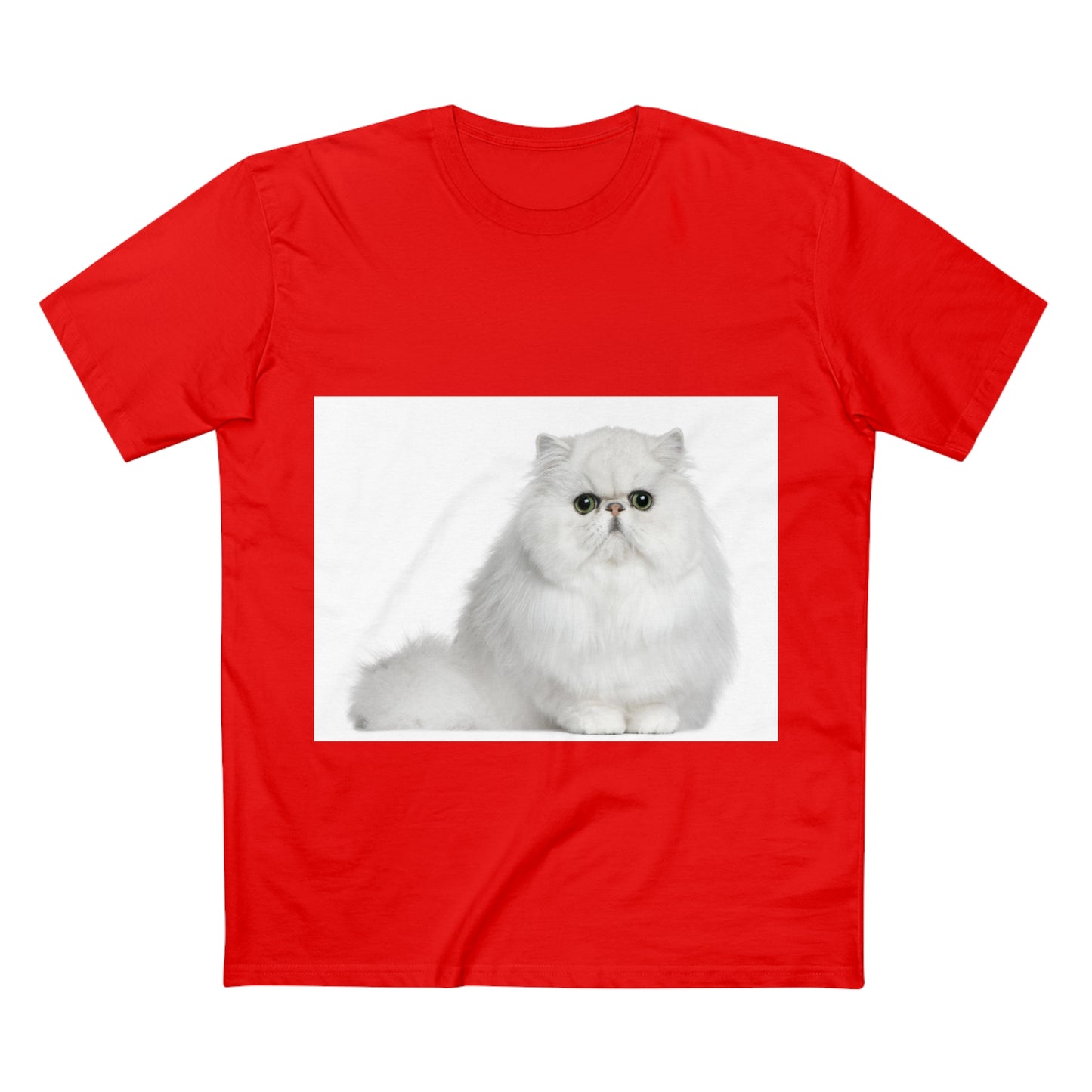 Men's Staple Tee