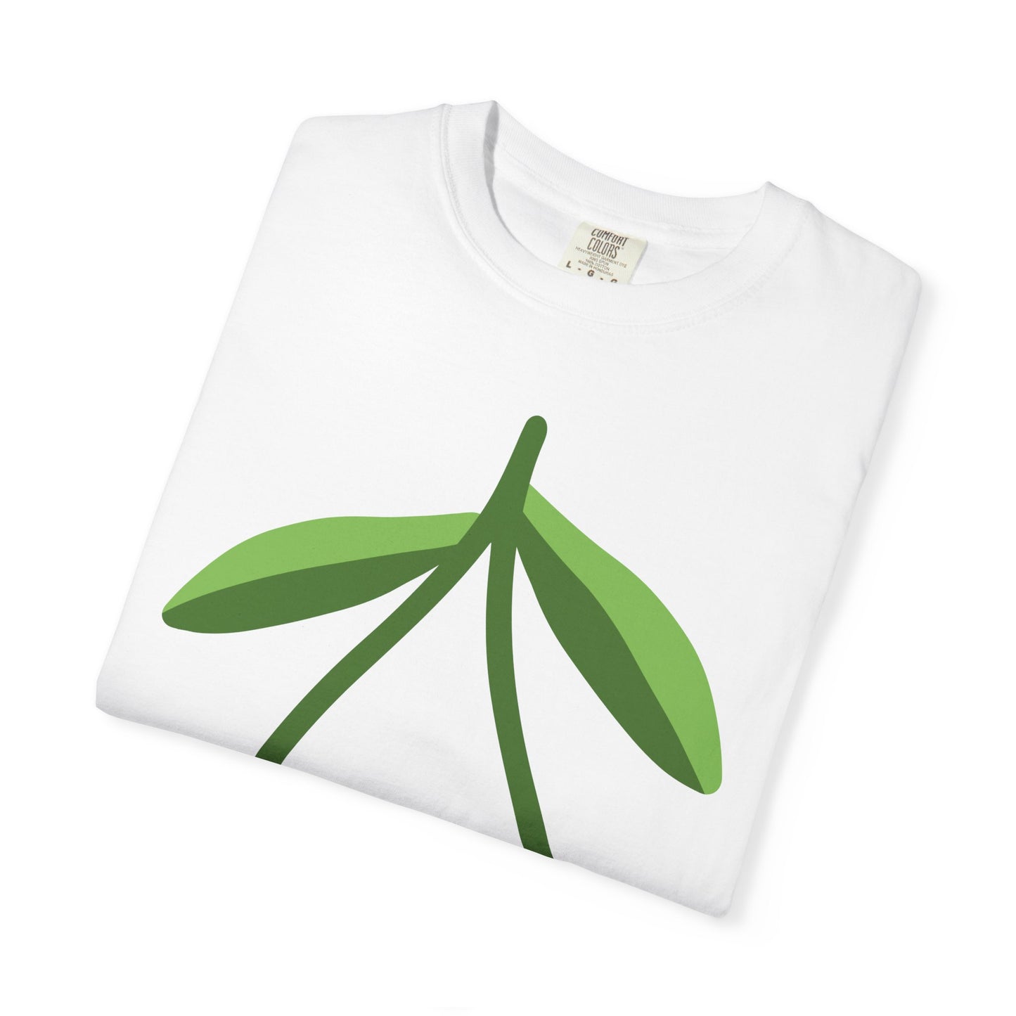 collections test