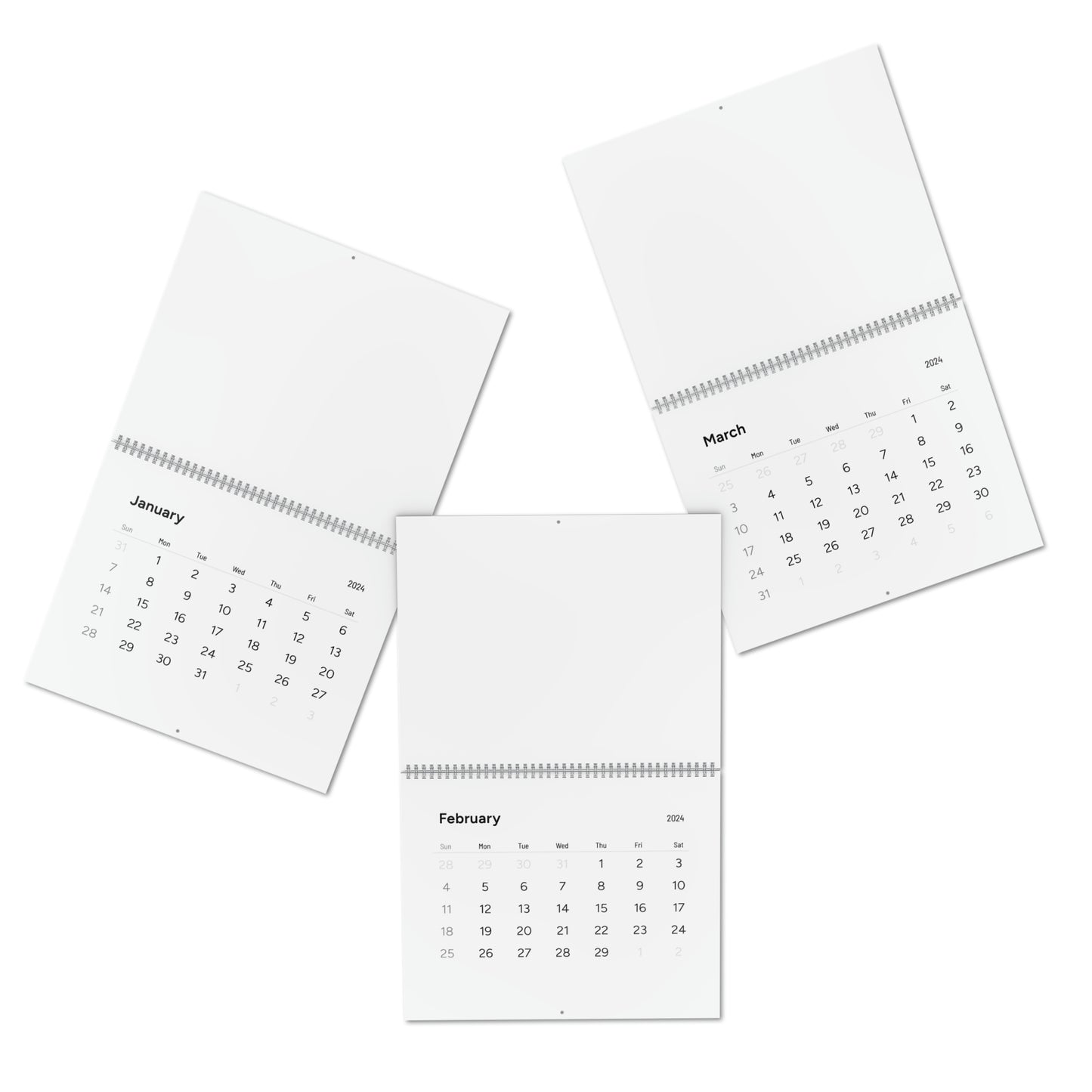 Standard Wall Calendar (2024)