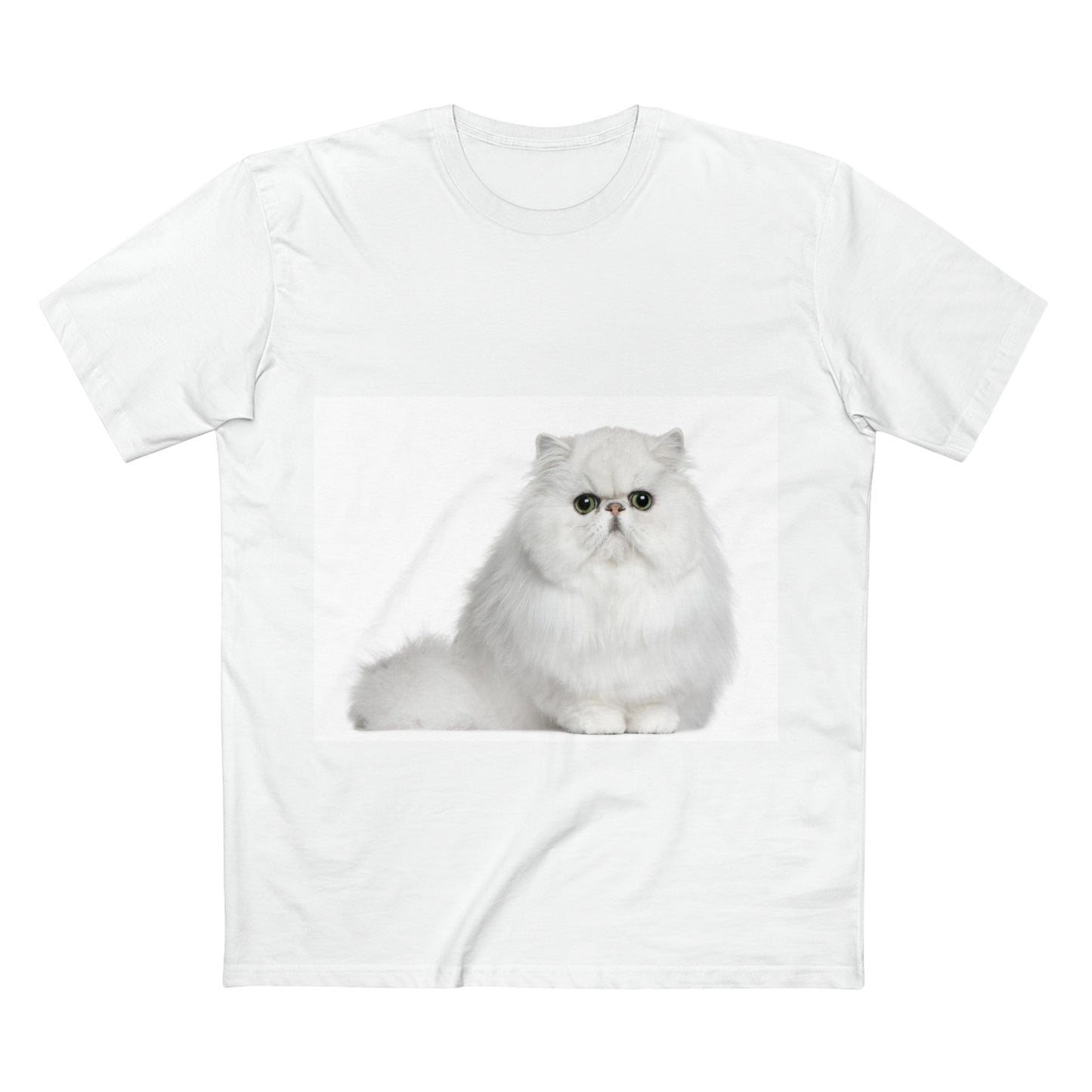 Men's Staple Tee