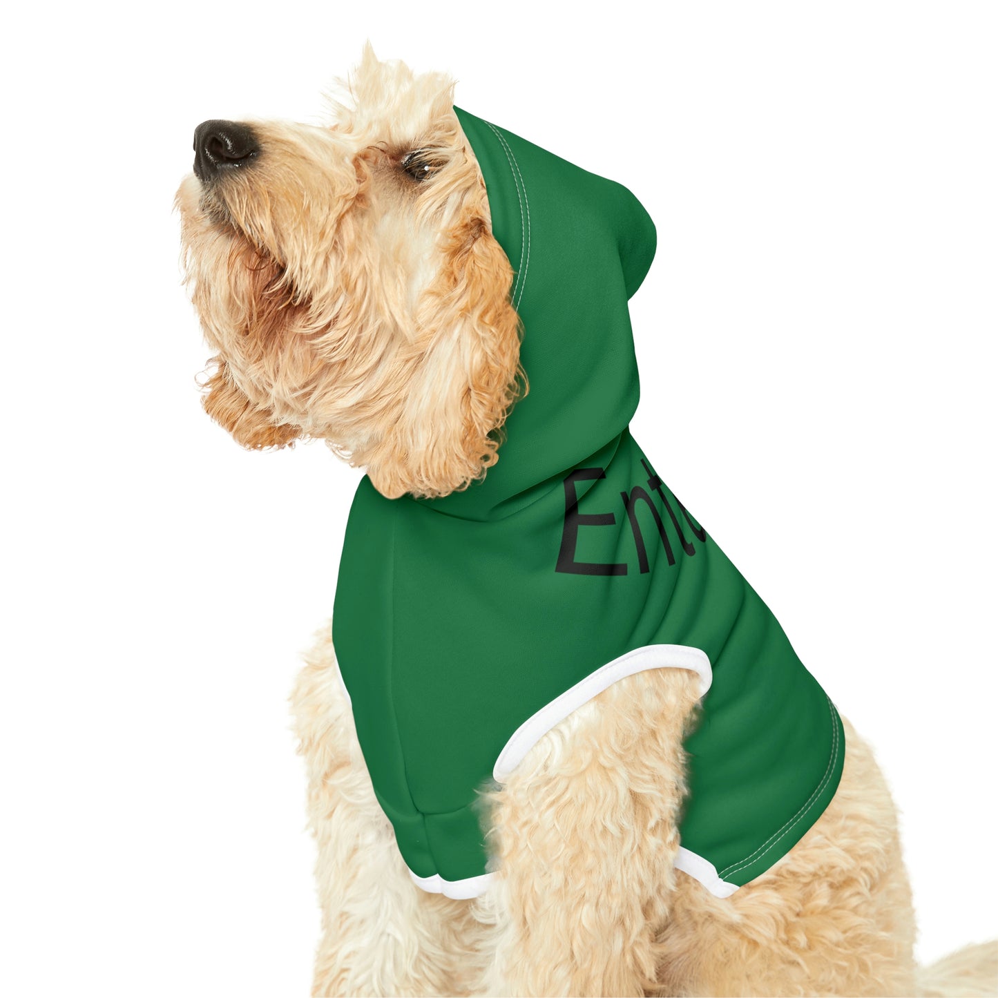 Dog Hoodie