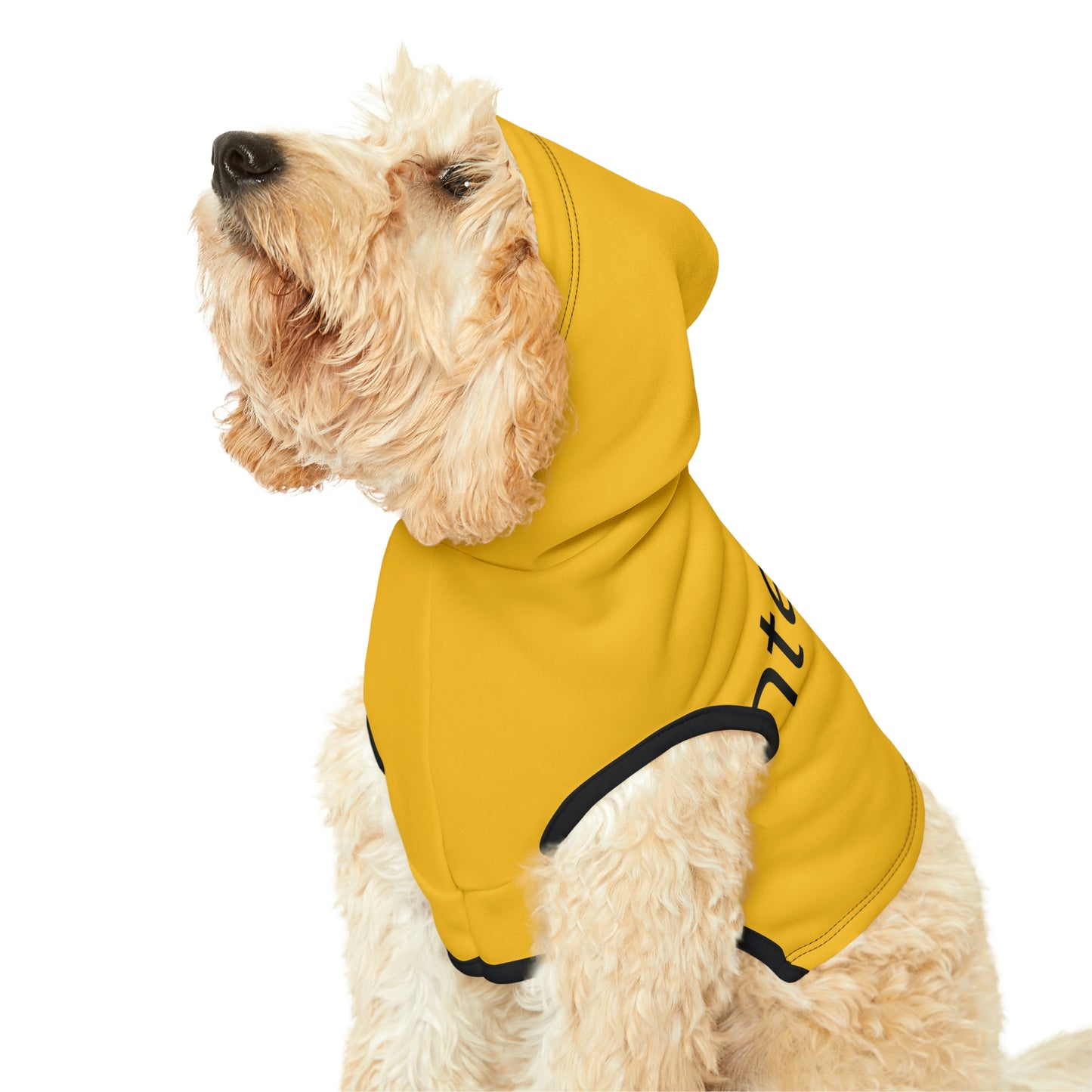 Dog Hoodie