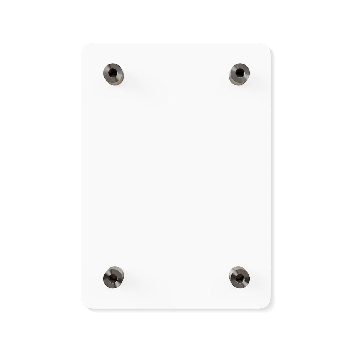 Acrylic Wall Art Panels