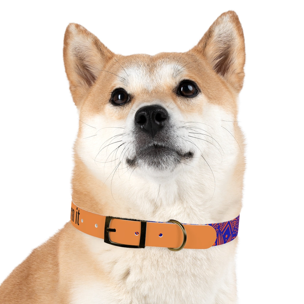 Dog Collar
