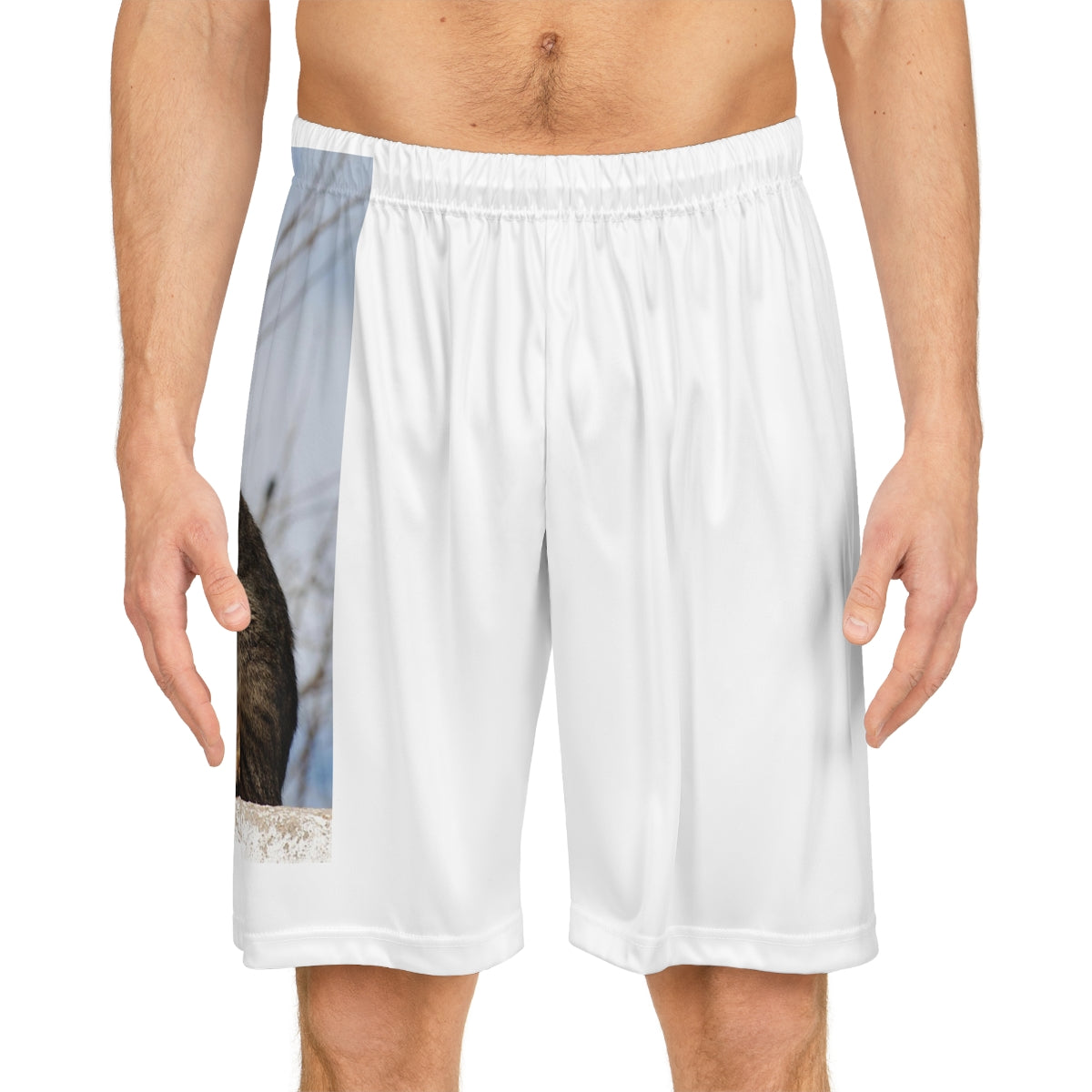 Basketball Shorts
