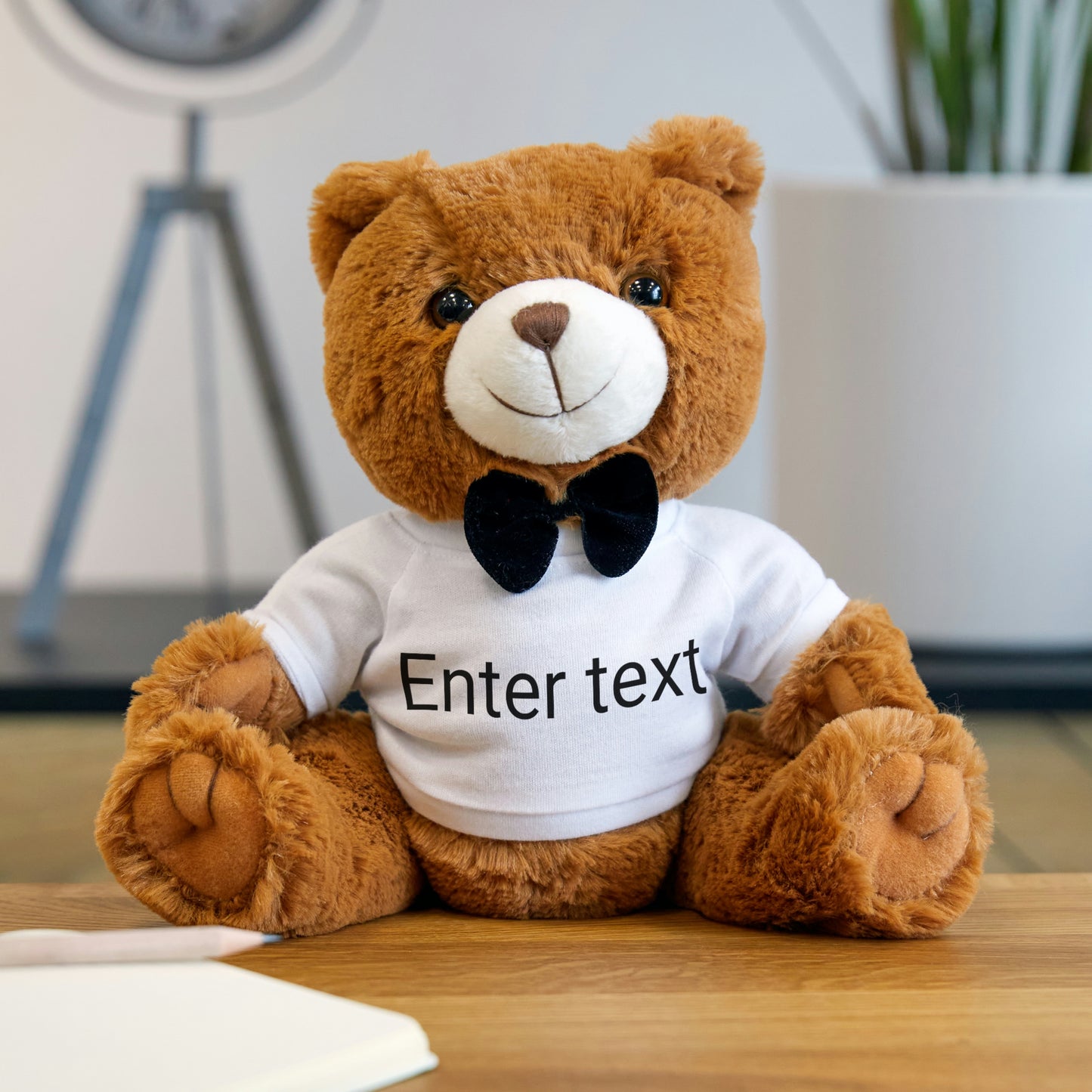 Teddy Bear with T-Shirt