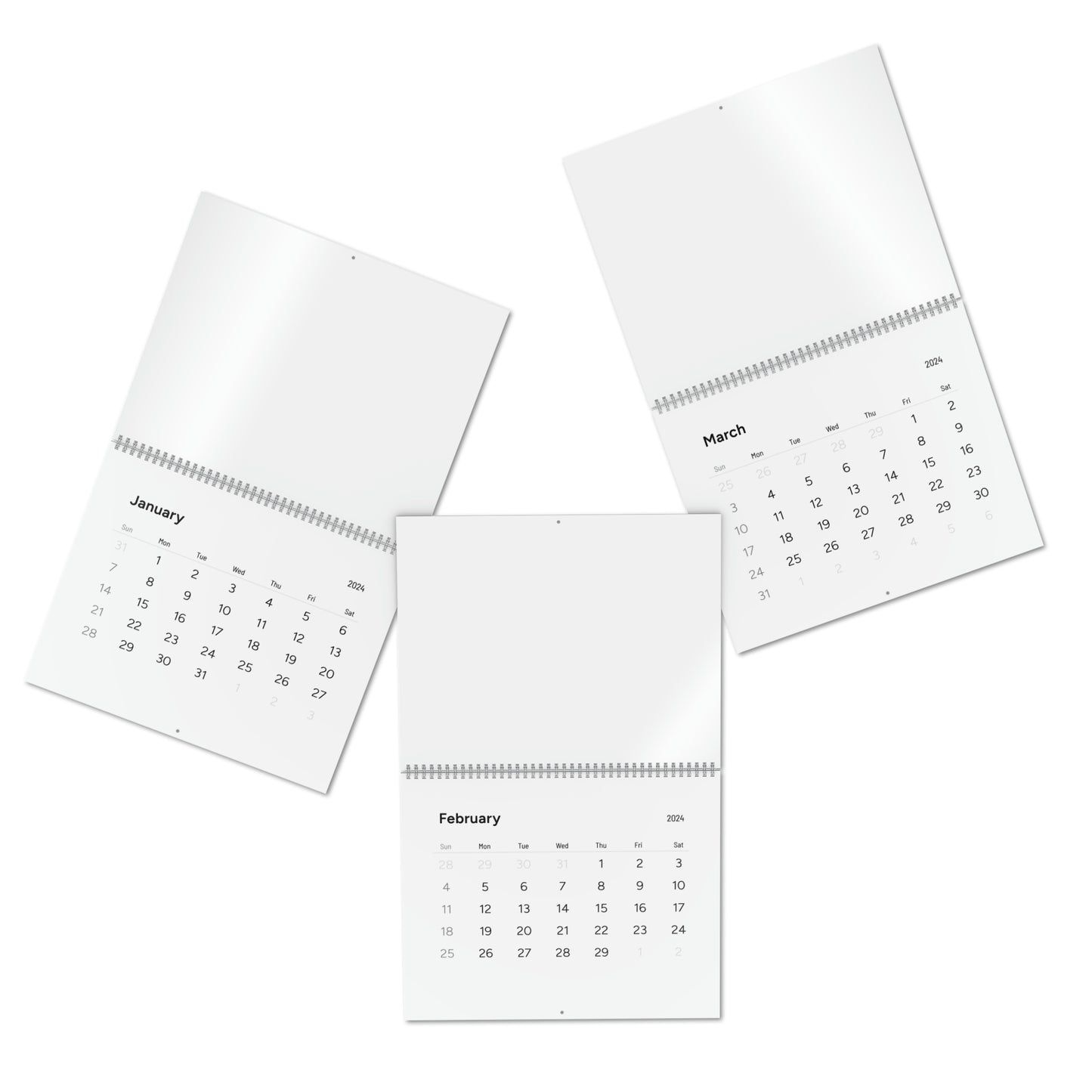 Standard Wall Calendar (2024)