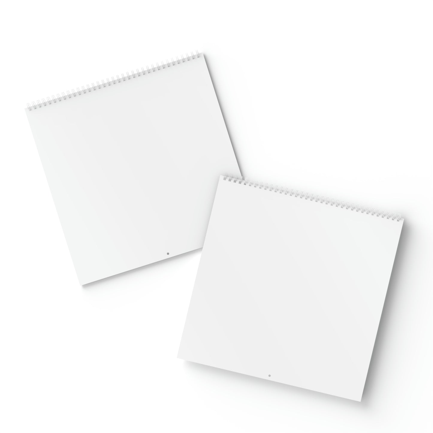 Standard Wall Calendar (2024)