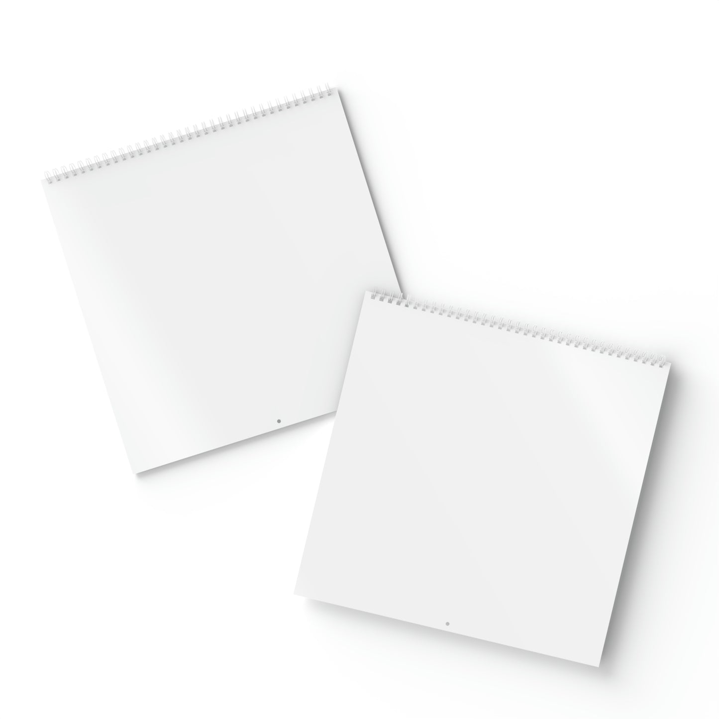 Standard Wall Calendar (2024)