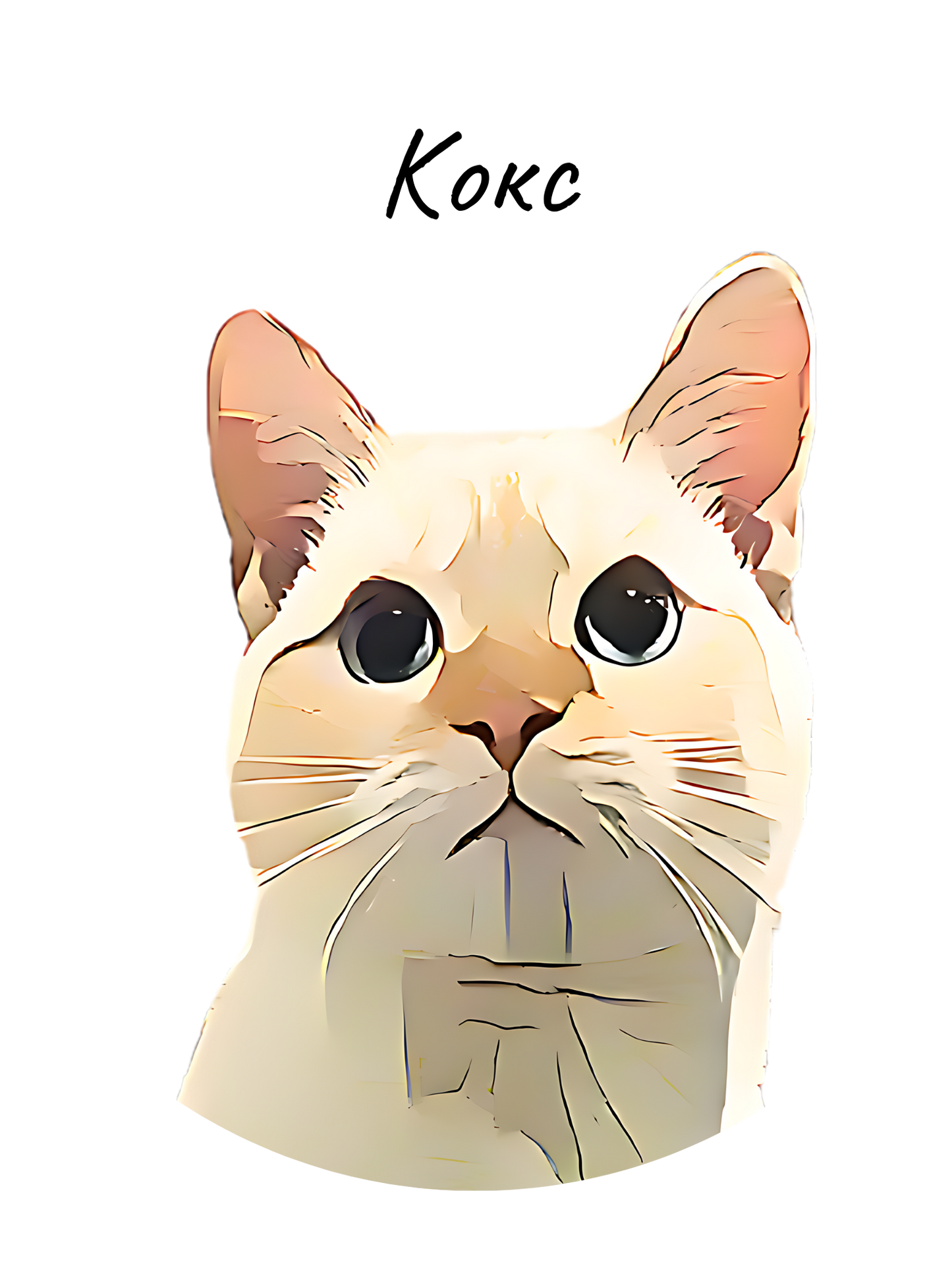 Unisex Heavy Cotton test product 13.08.2024