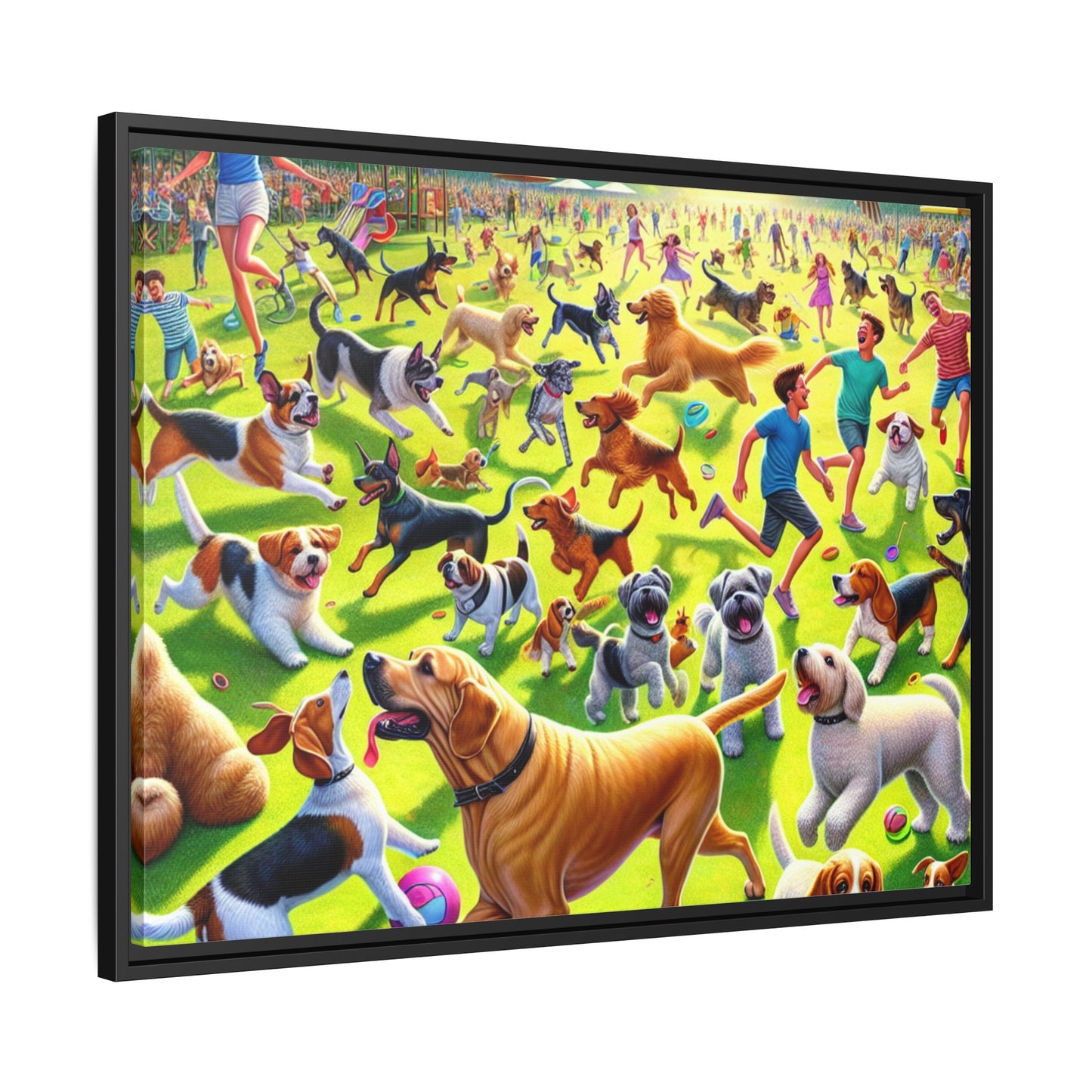 Matte Canvas, Framed (Multi-color)