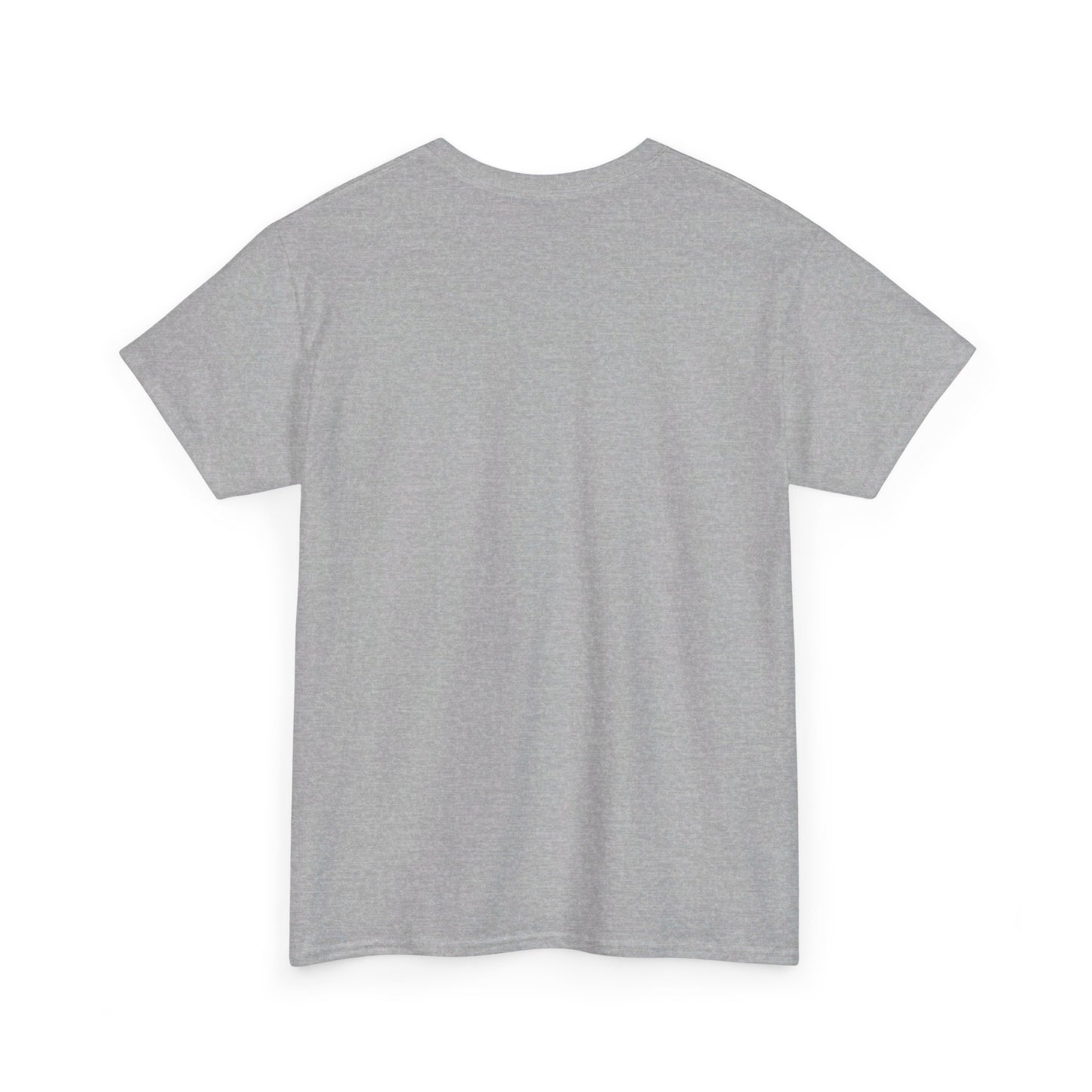 Unisex Heavy Cotton test product 13.08.2024