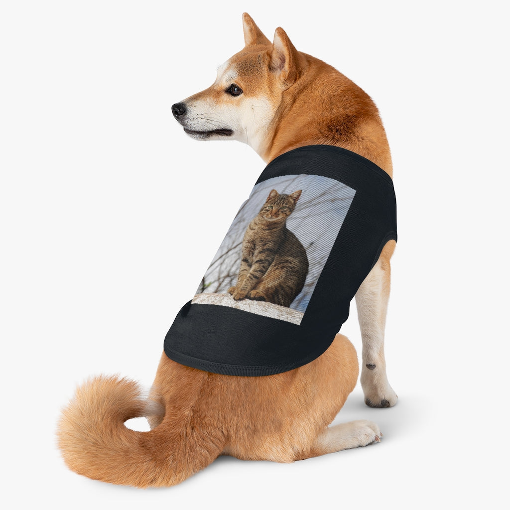 Pet Tank Top