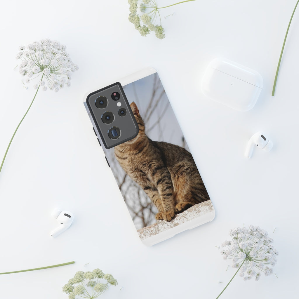 Tough Cases - preview test