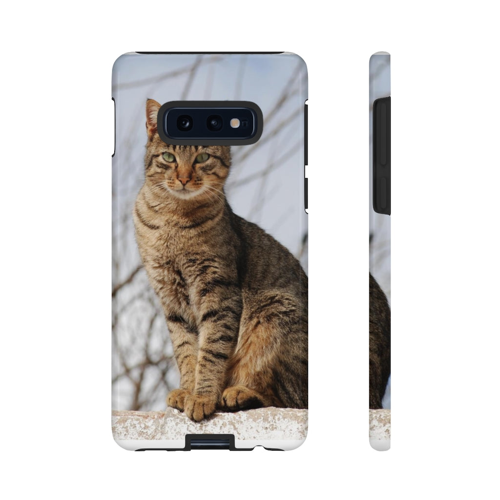 Tough Cases - preview test