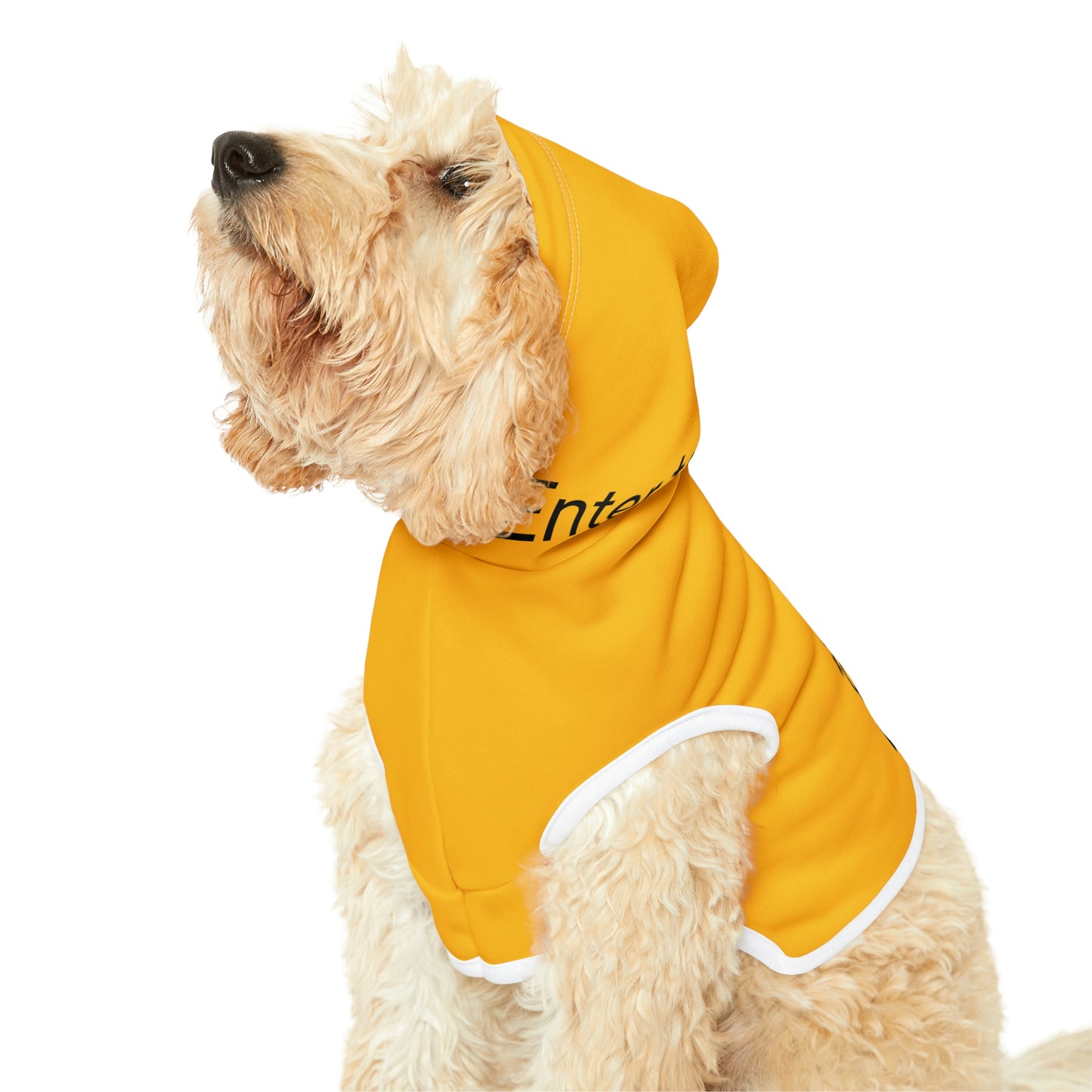 Dog Hoodie