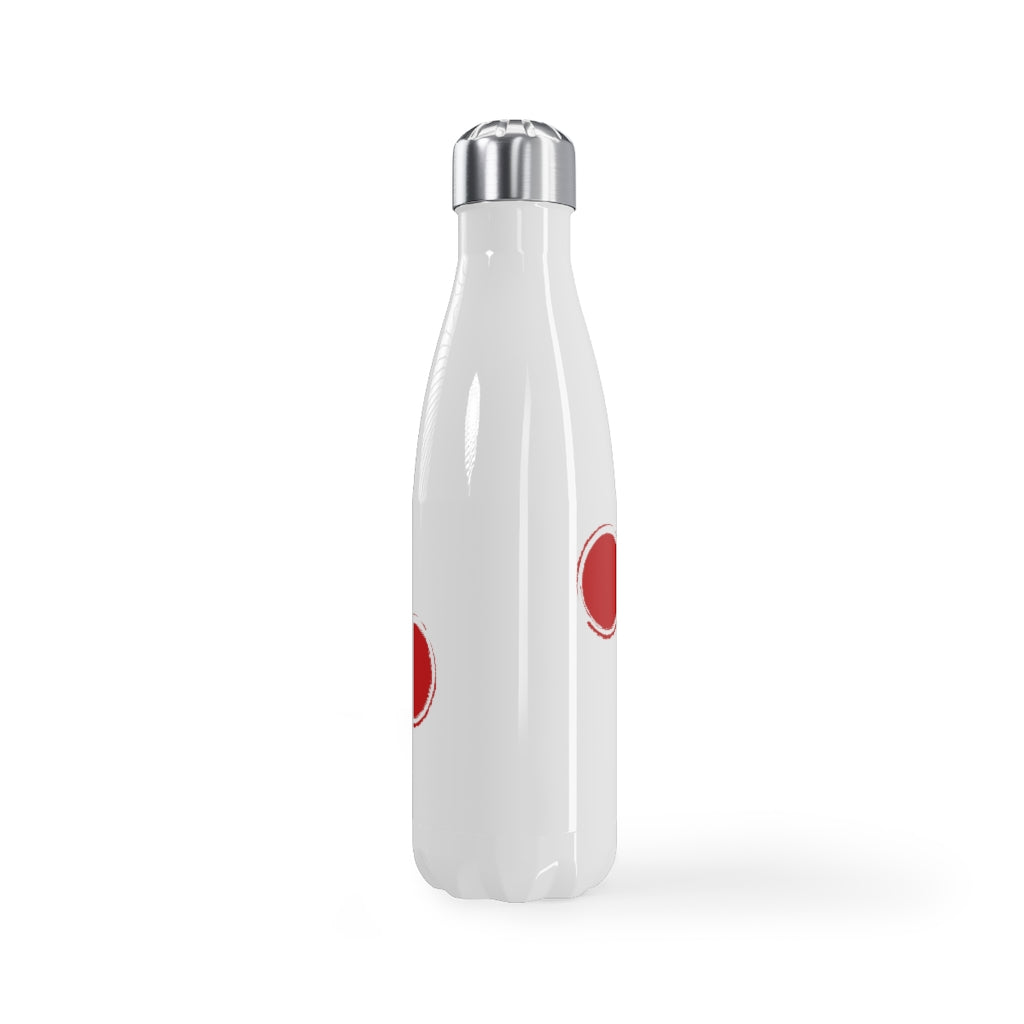 Stainless Steel Water Bottle, 17oz