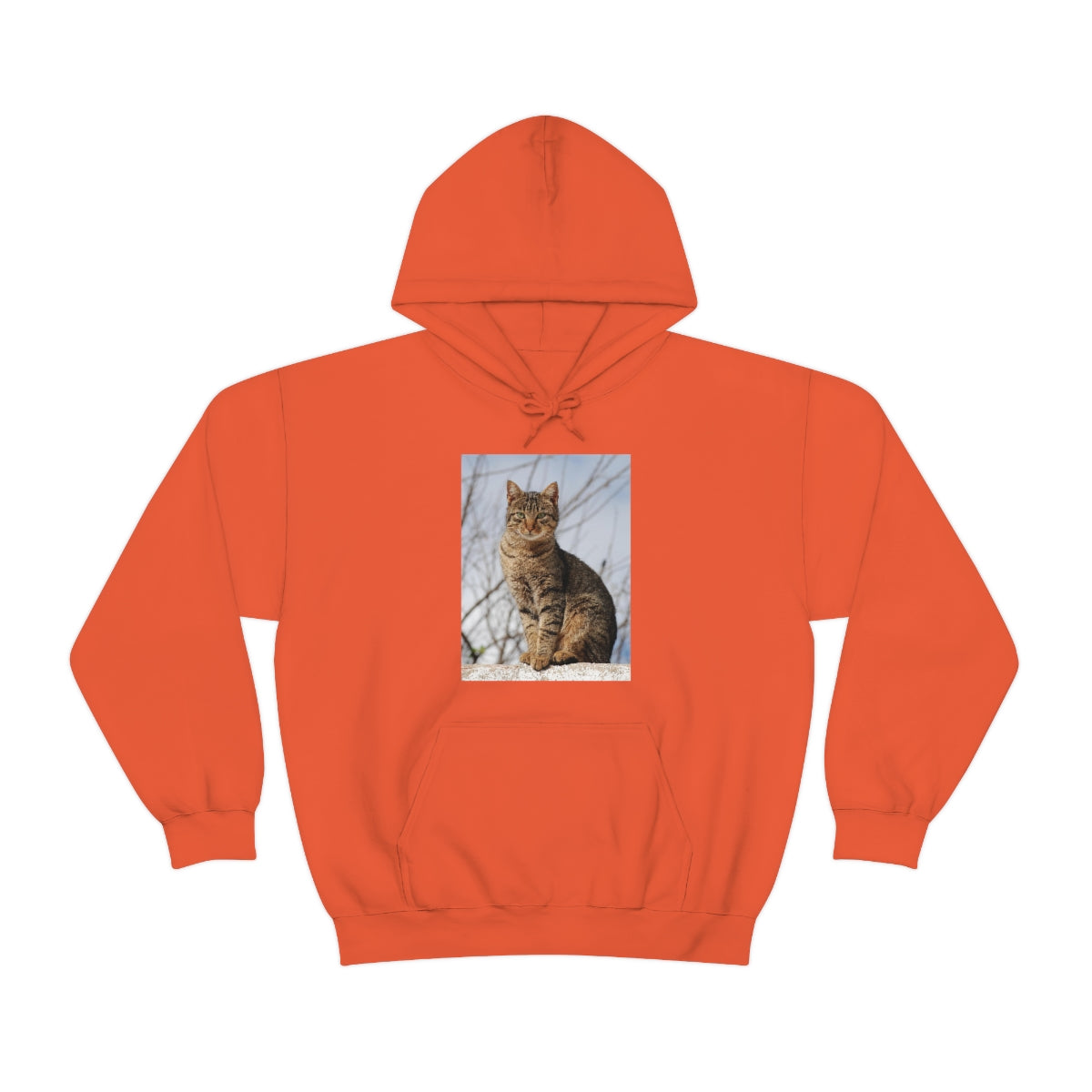 Unisex Heavy Blend™ Hooded Sweatshirt