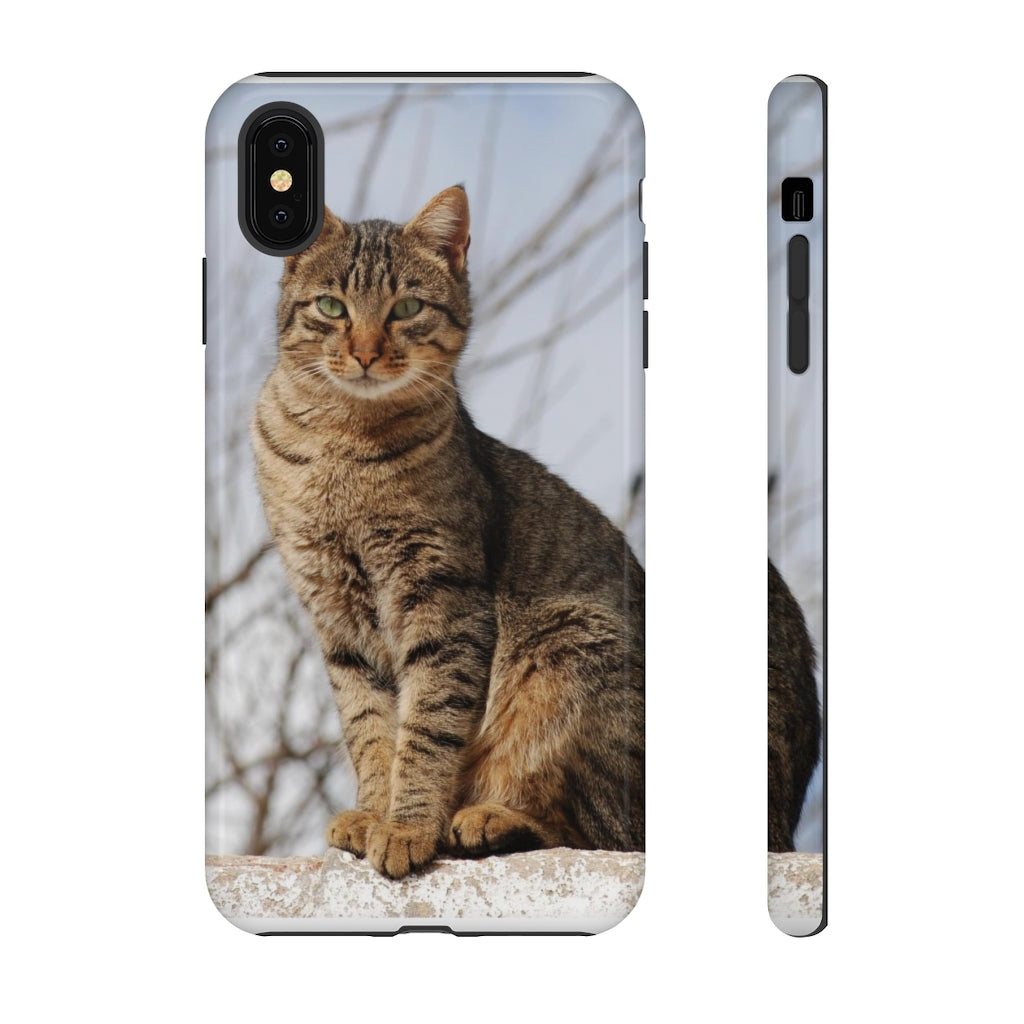 Tough Cases - preview test