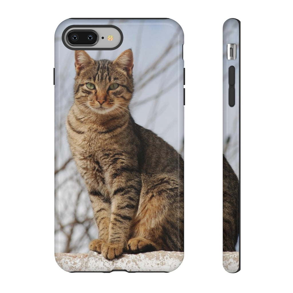 Tough Cases - preview test