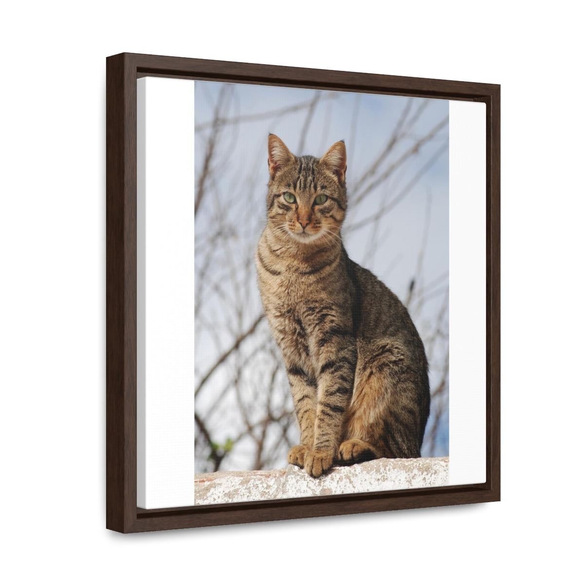 Gallery Canvas Wraps, Square Frame - preview test