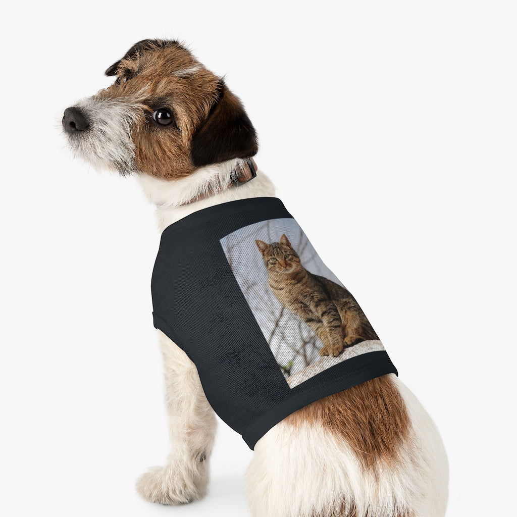 Pet Tank Top
