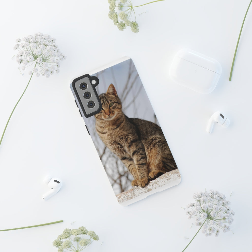 Tough Cases - preview test