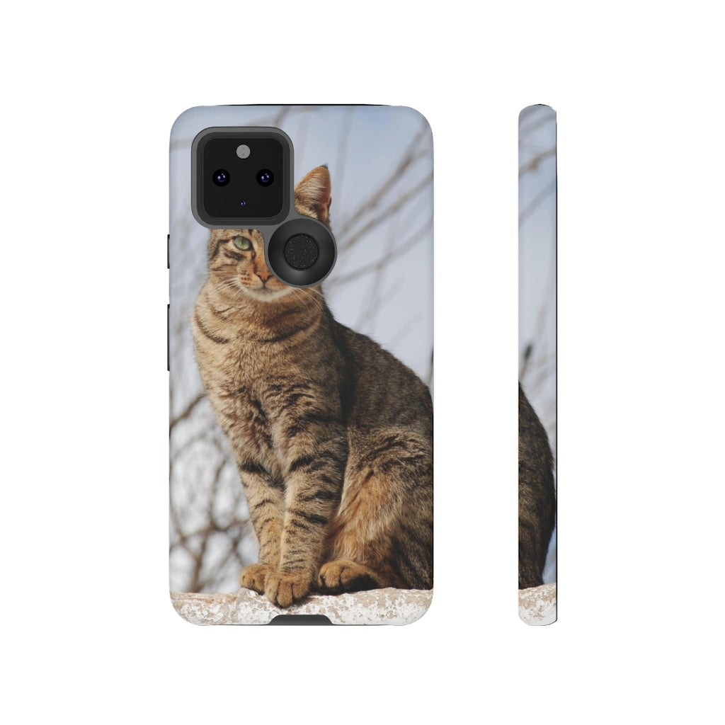 Tough Cases - preview test