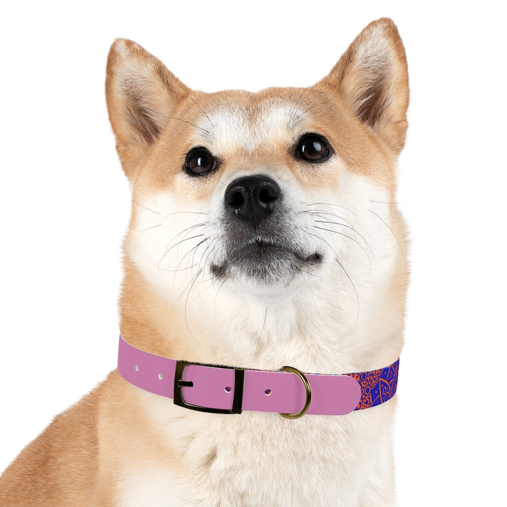 Dog Collar