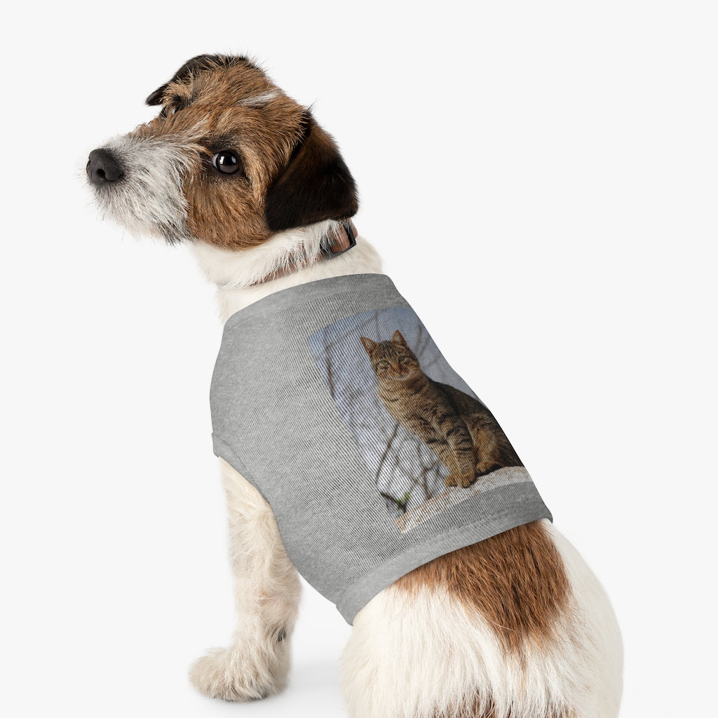 Copy of Pet Tank Top