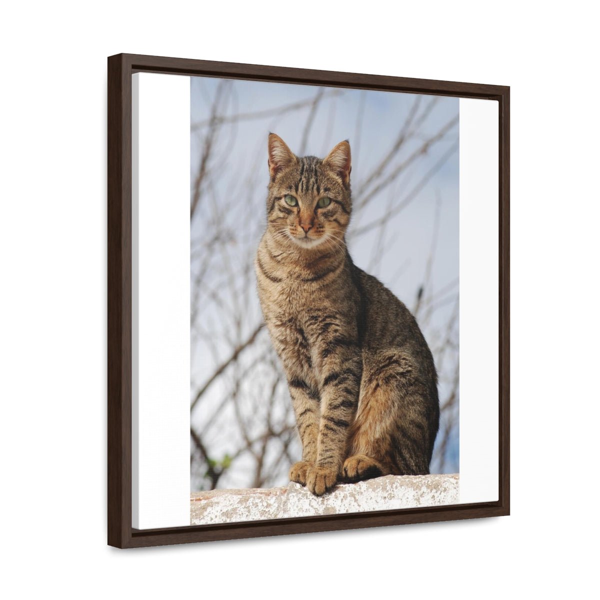 Copy of Gallery Canvas Wraps, Square Frame1
