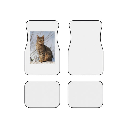 Copy of Car Mats (Set of 4)