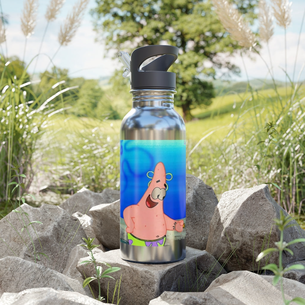 Stainless Steel Water Bottle With Straw, 20oz