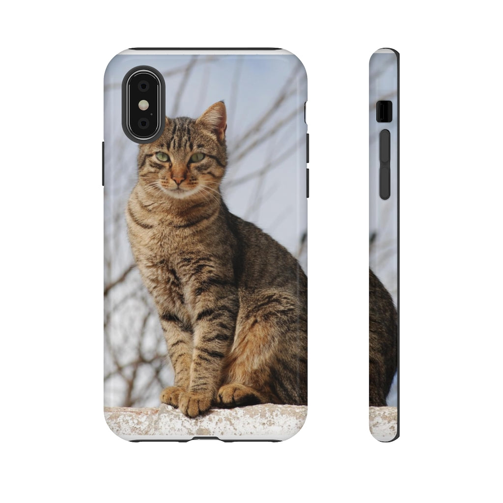 Tough Cases - preview test