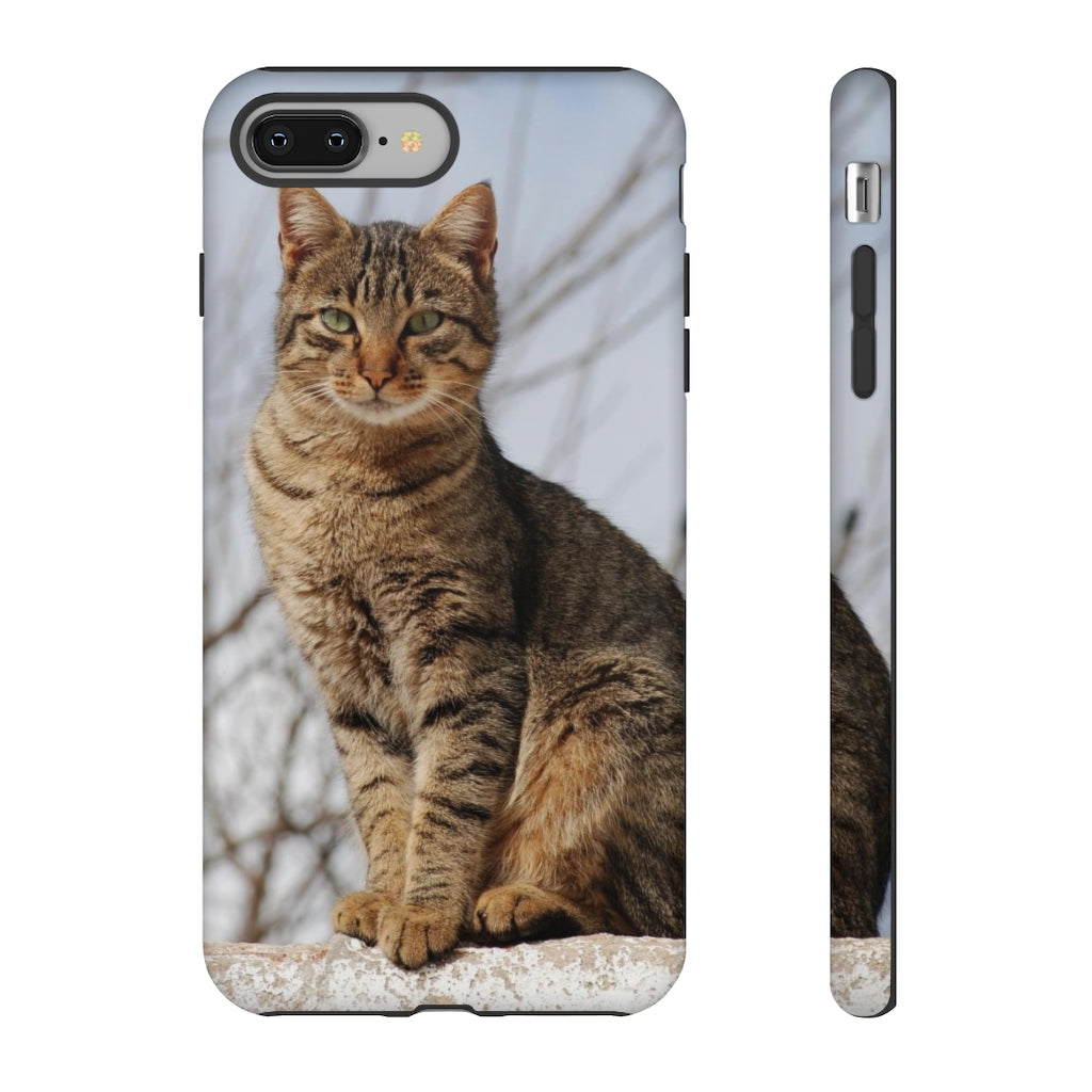 Tough Cases - preview test