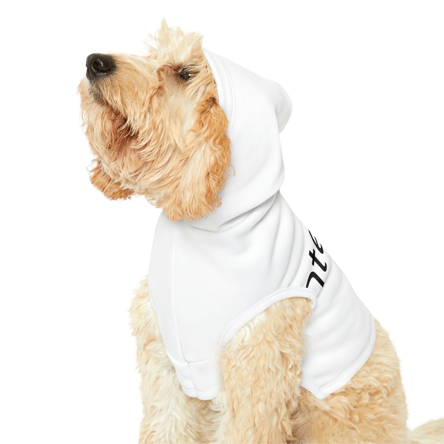 Dog Hoodie