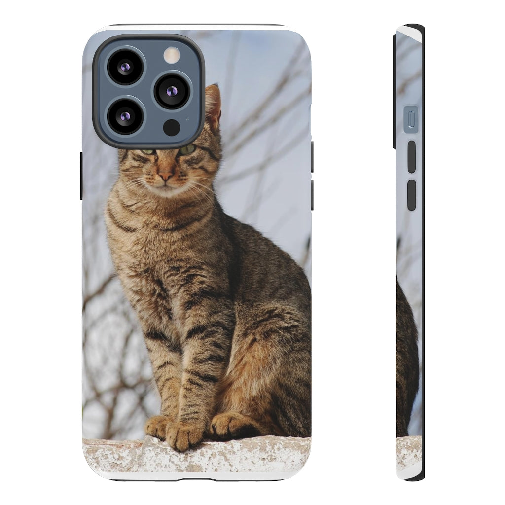 Tough Cases - preview test