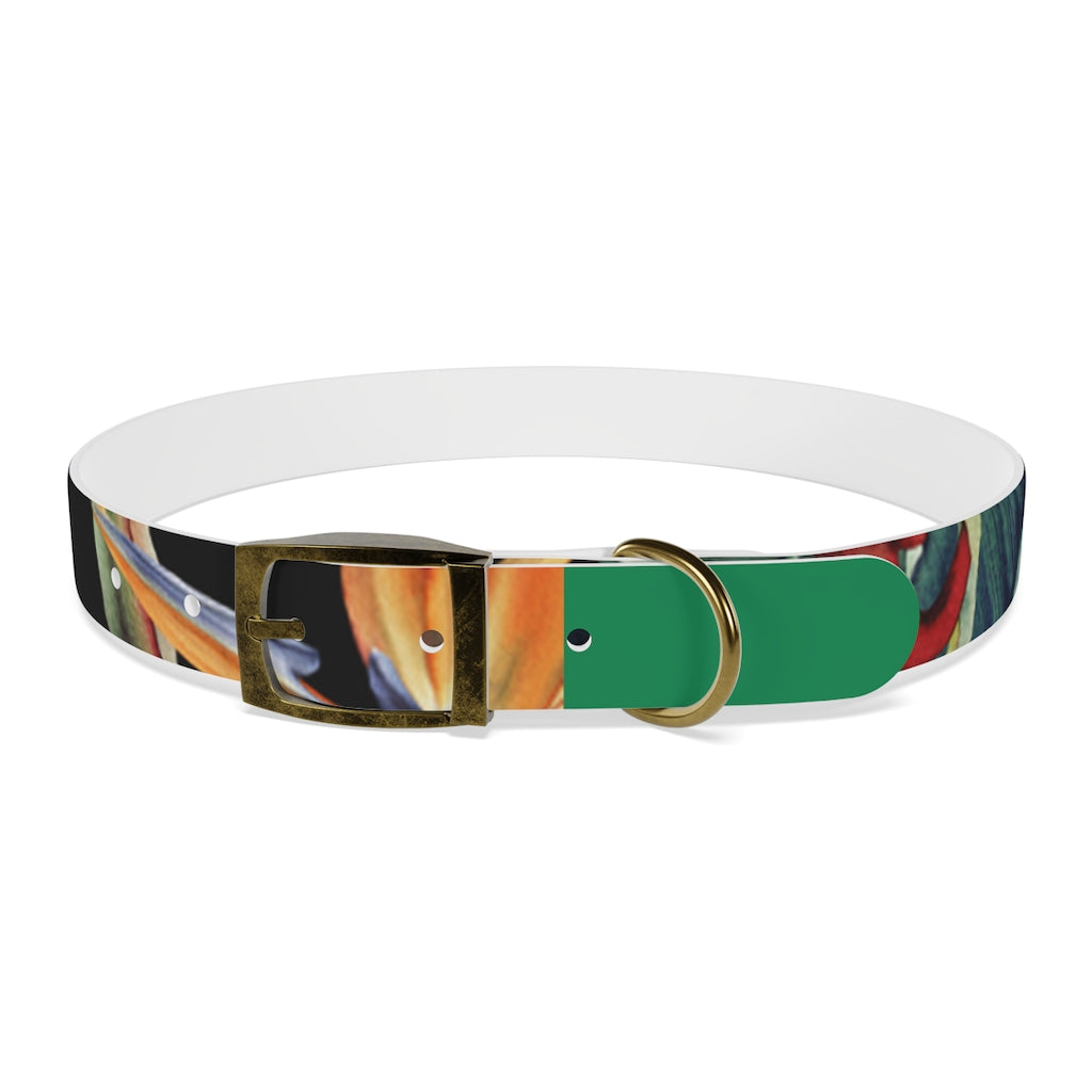 Dog Collar