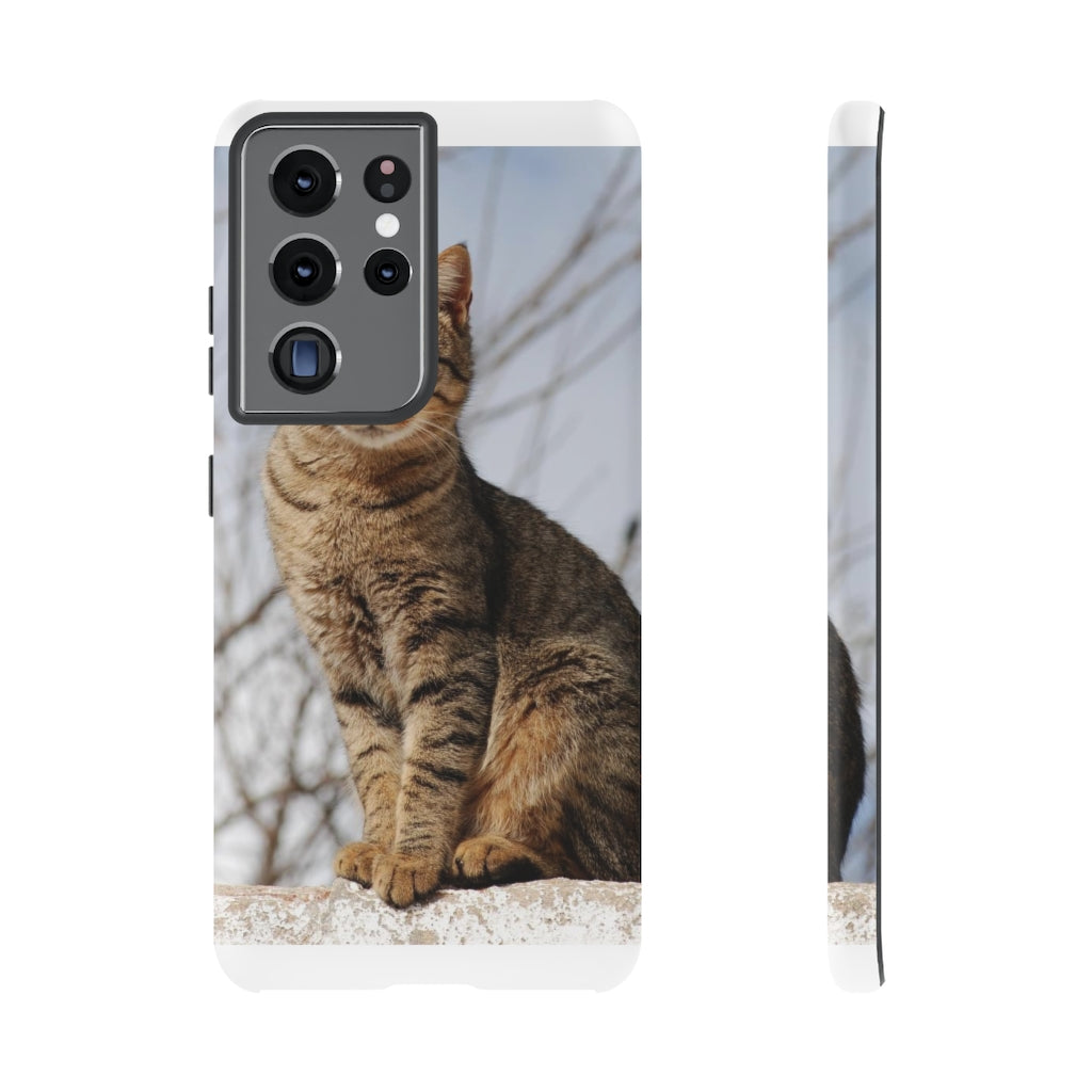 Tough Cases - preview test