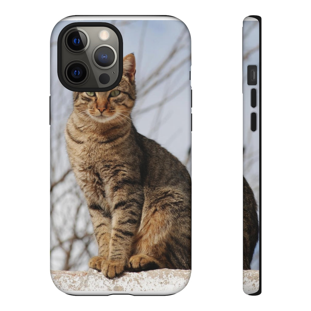 Tough Cases - preview test