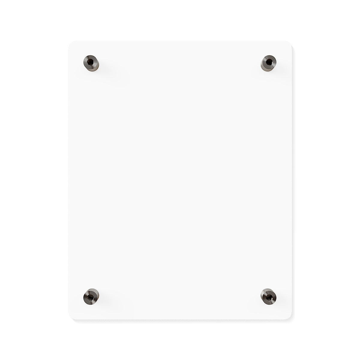 Acrylic Wall Art Panels