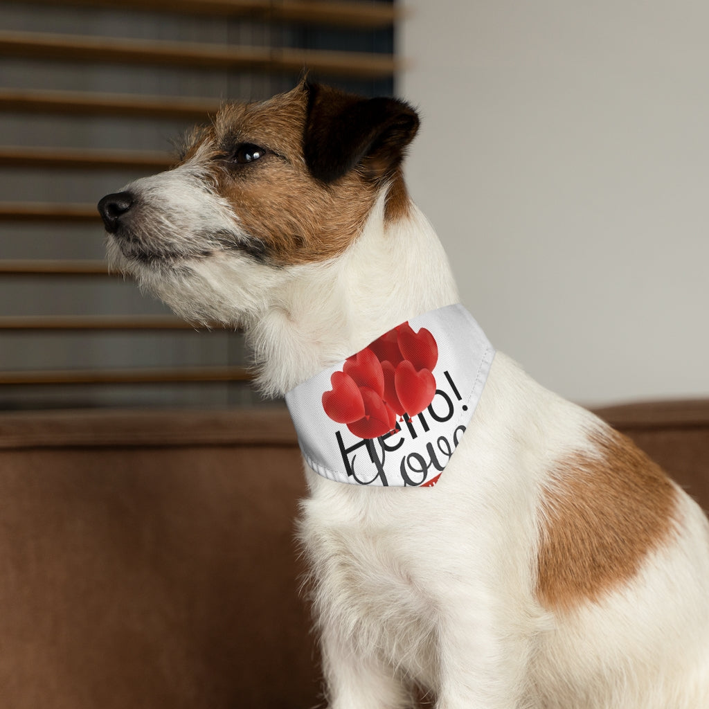 Pet Bandana Collar
