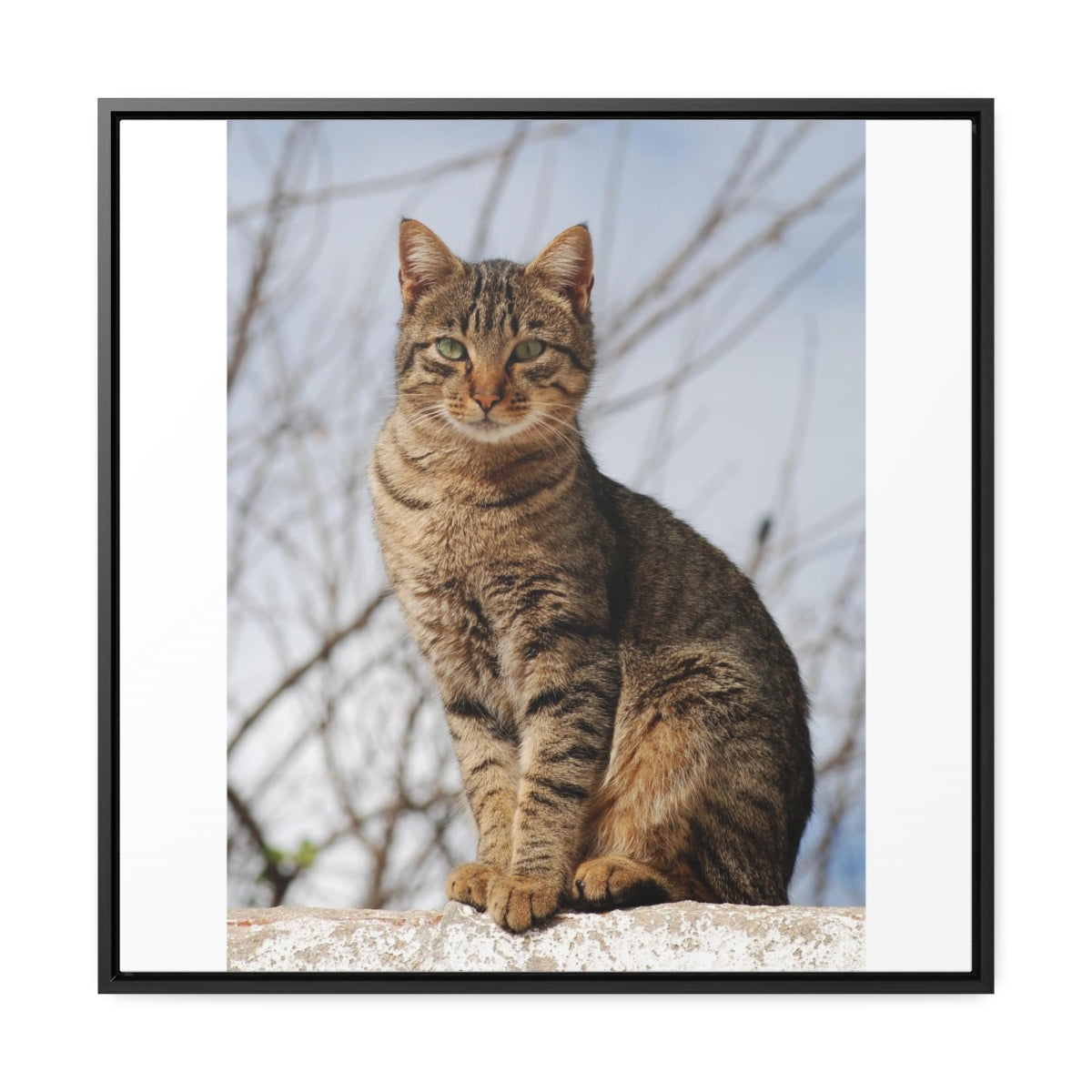 Copy of Gallery Canvas Wraps, Square Frame1