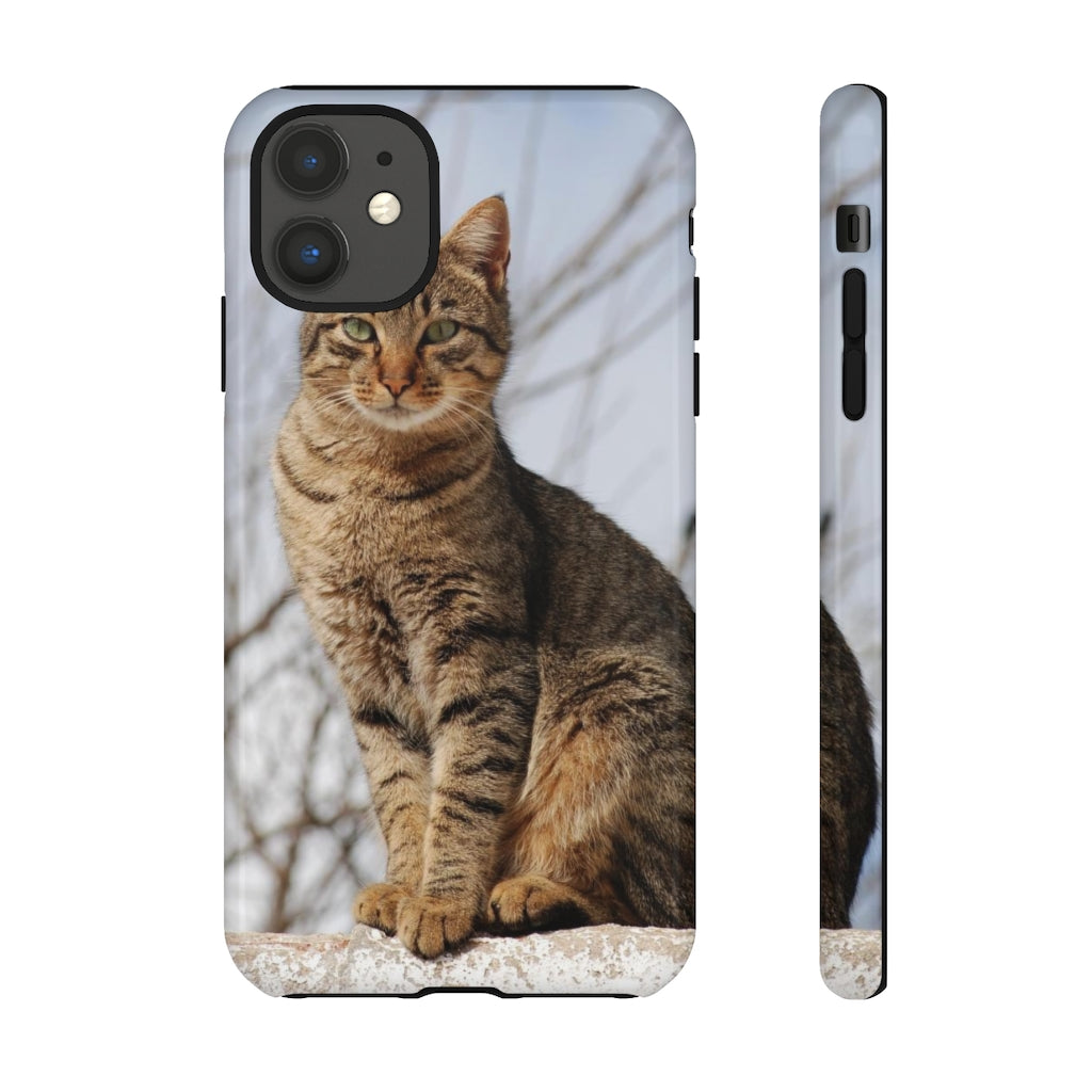 Tough Cases - preview test