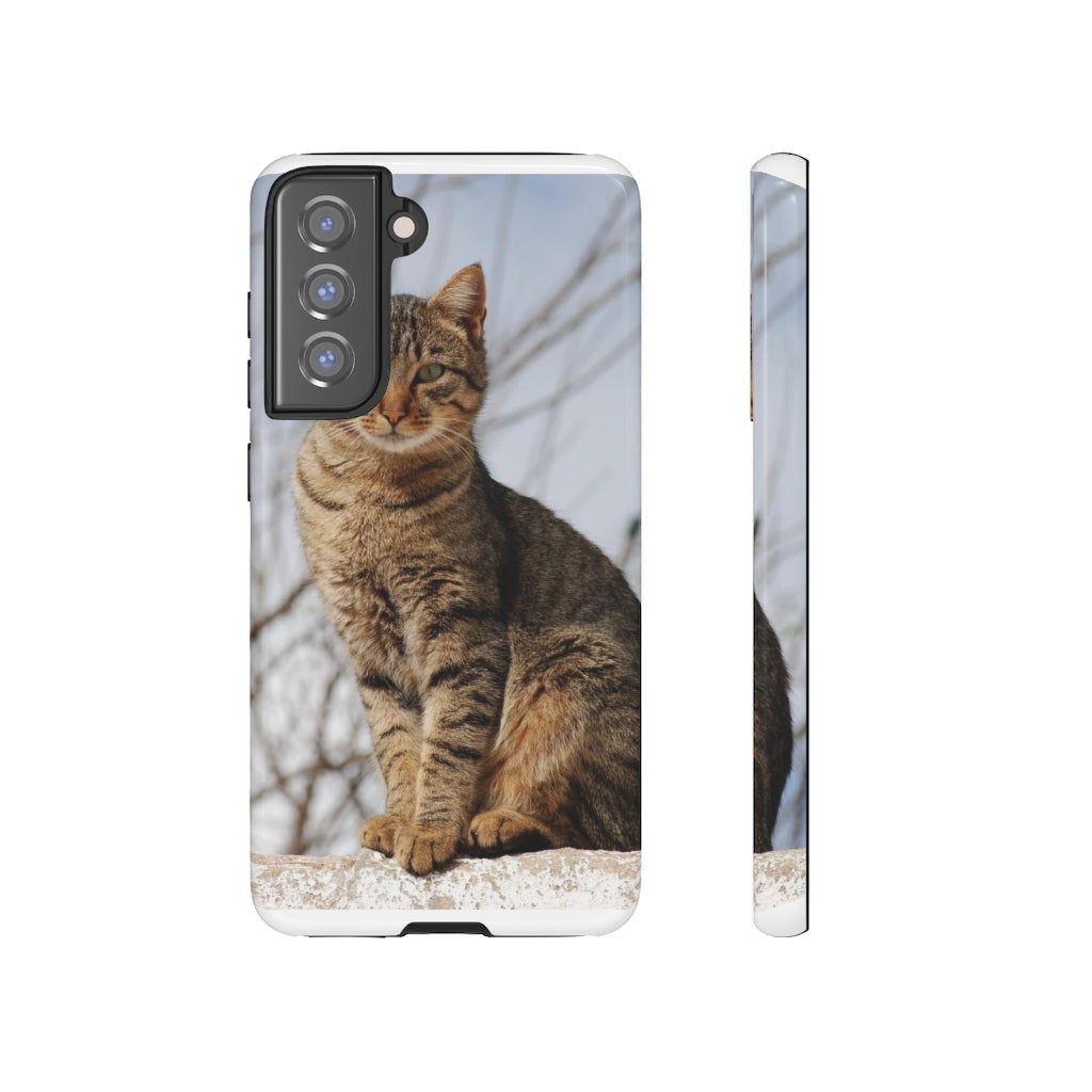 Tough Cases - preview test