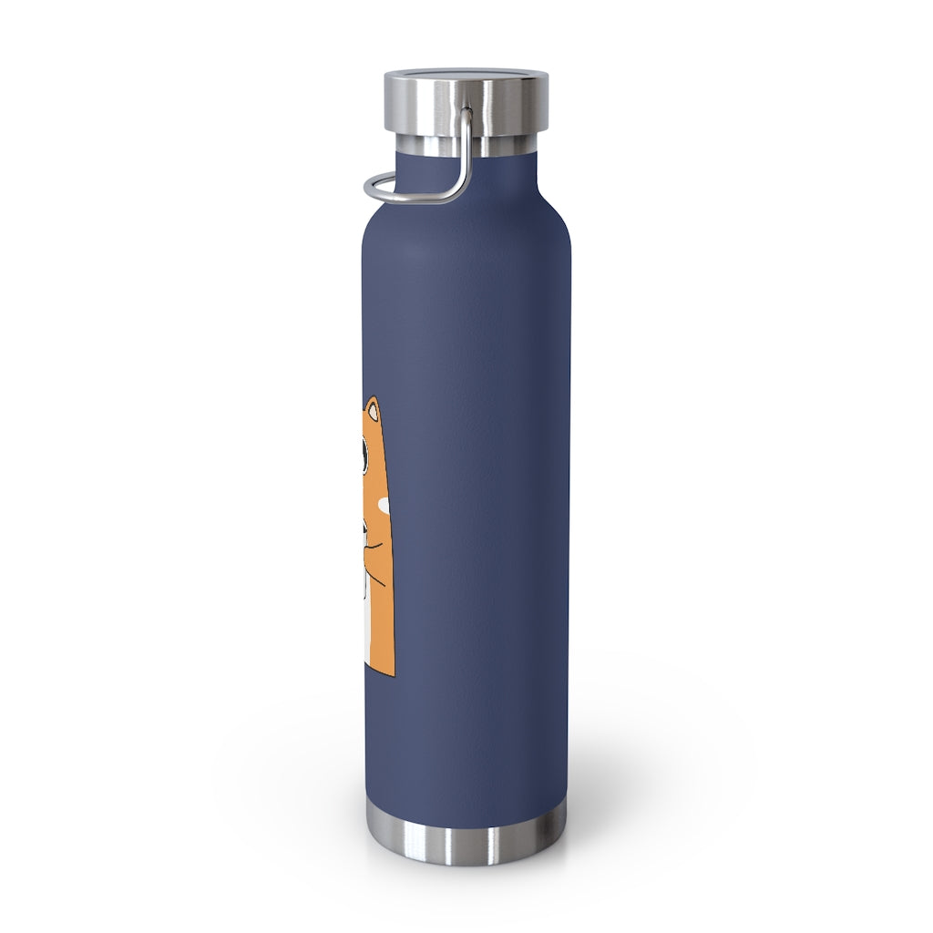 22oz Vacuum Insulated Bottle