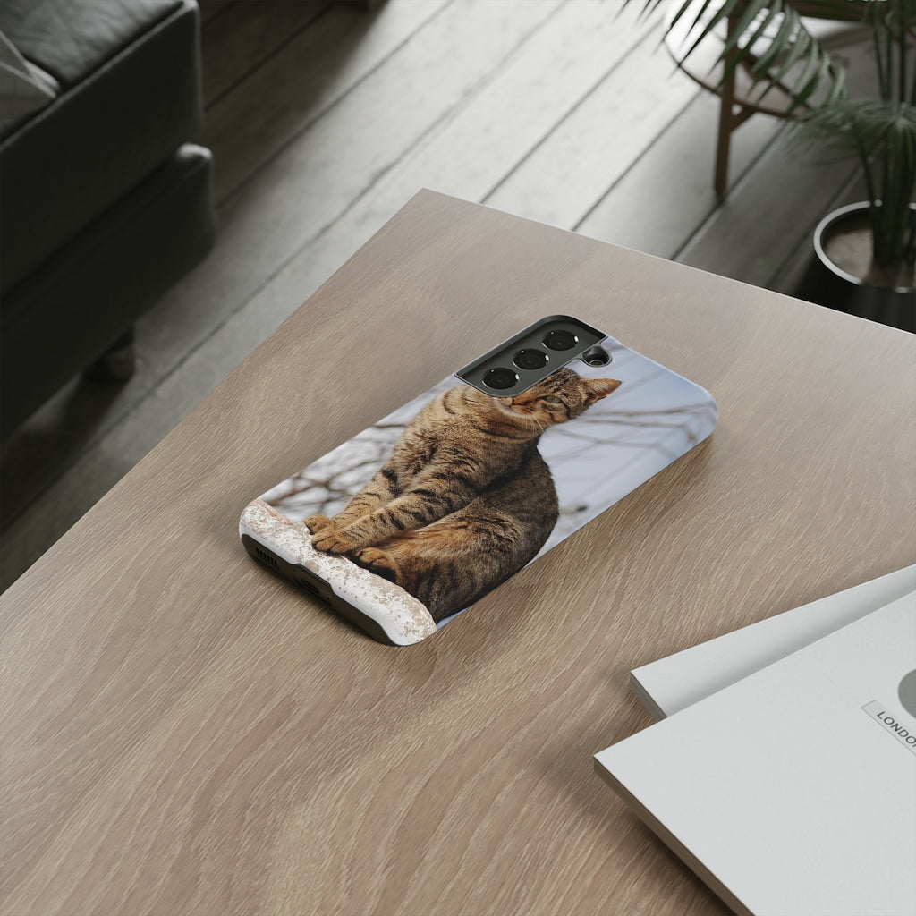 Tough Cases - preview test