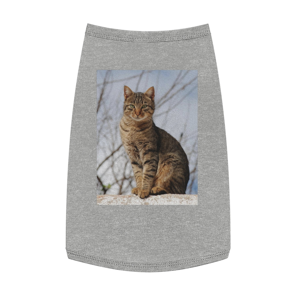 Copy of Pet Tank Top