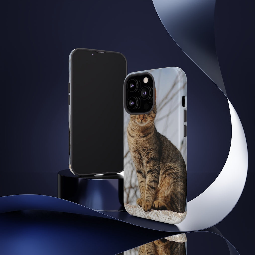 Tough Cases - preview test